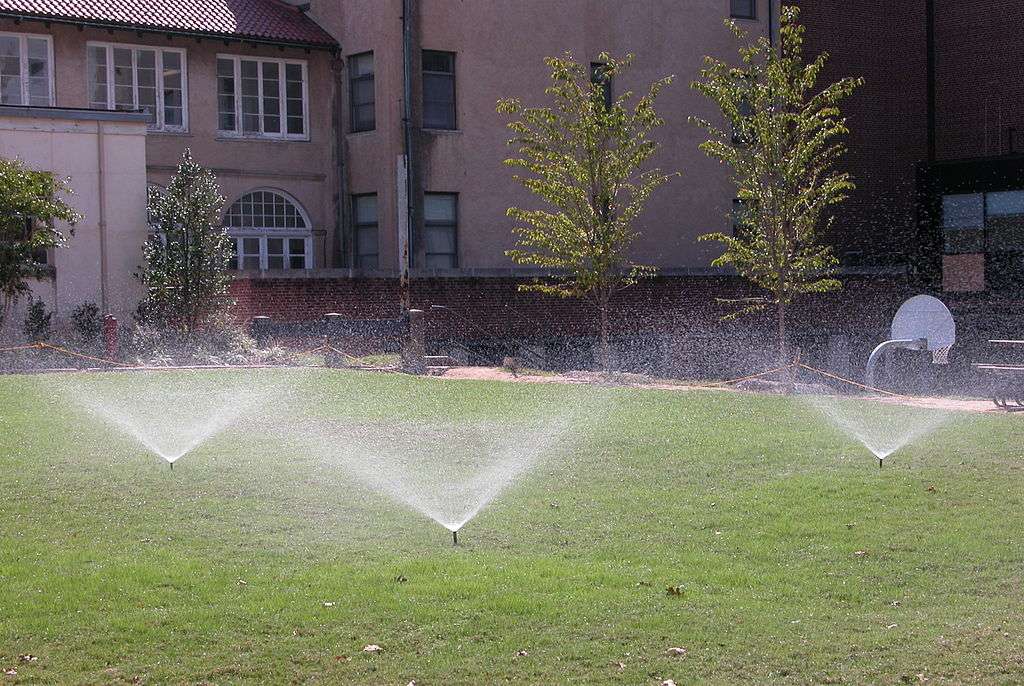 sprinklers water lawn