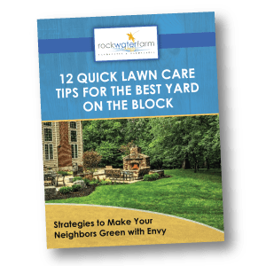 lawn-care-tips