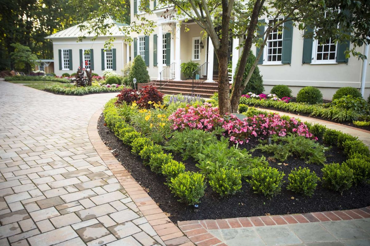 trees and landscaping with mulch at entry of home