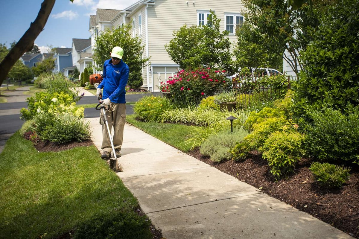 Cruz Landscaping Alexandria Va