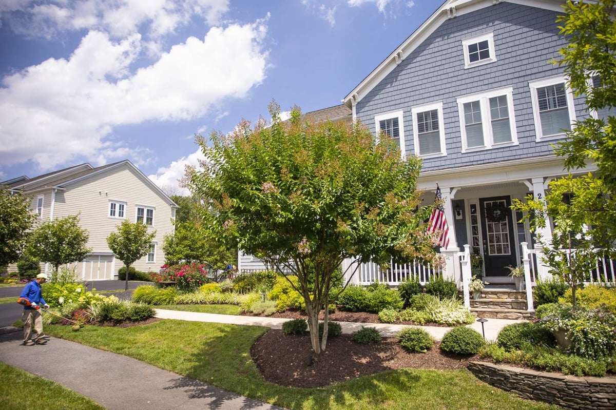 trees and shrubs around home with mulch