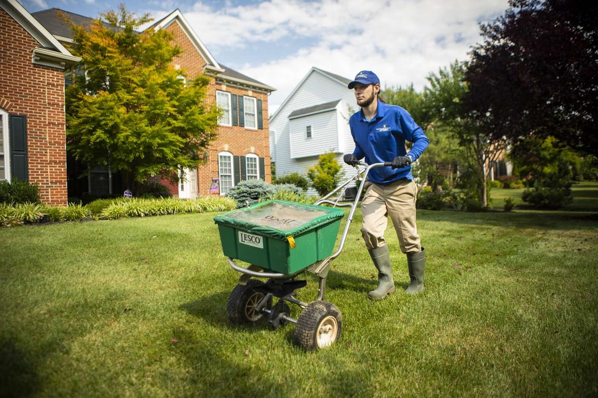 lawn care technician applies fertilizer to lawn