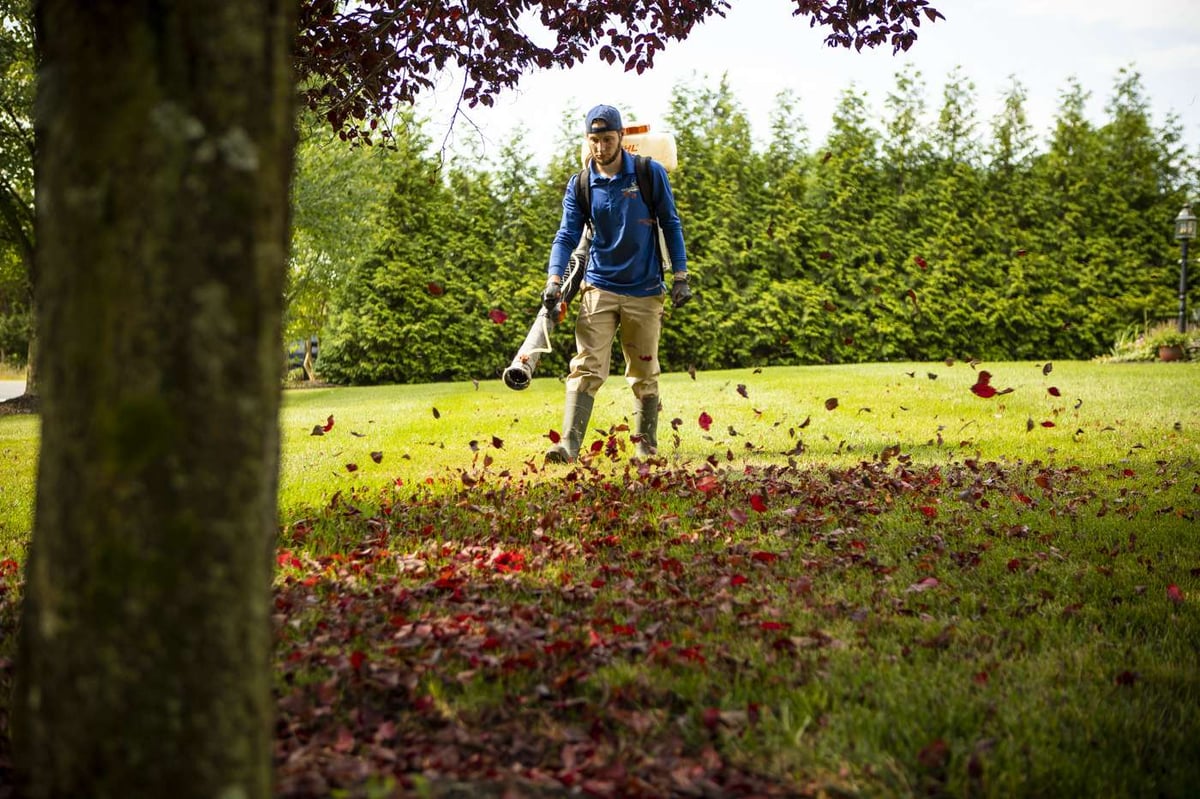 landscape maintenance technician blowing leaves