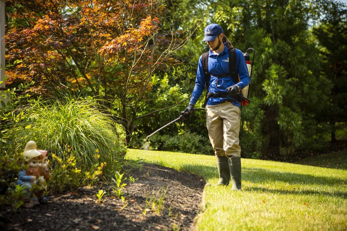 landscape maintenance technician sprays for weeds