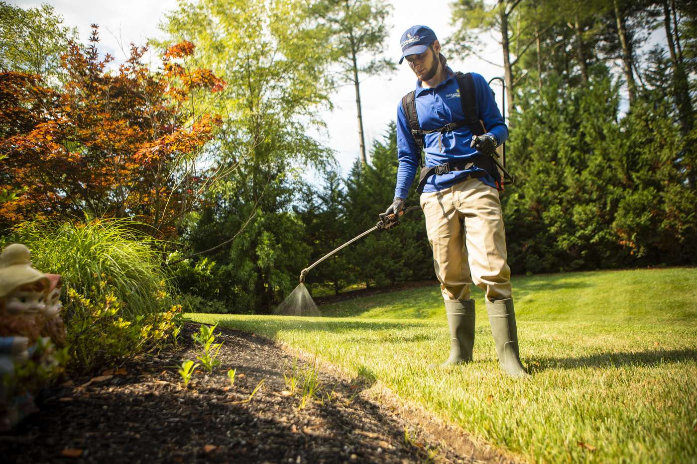 spring landscape weeding