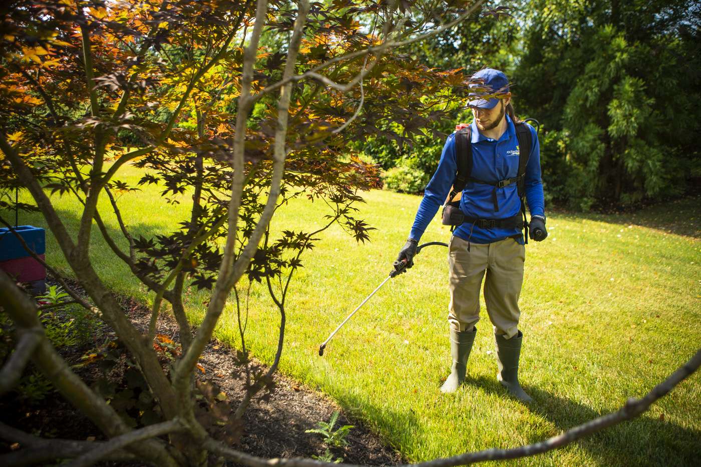 Applying landscape bed weed control