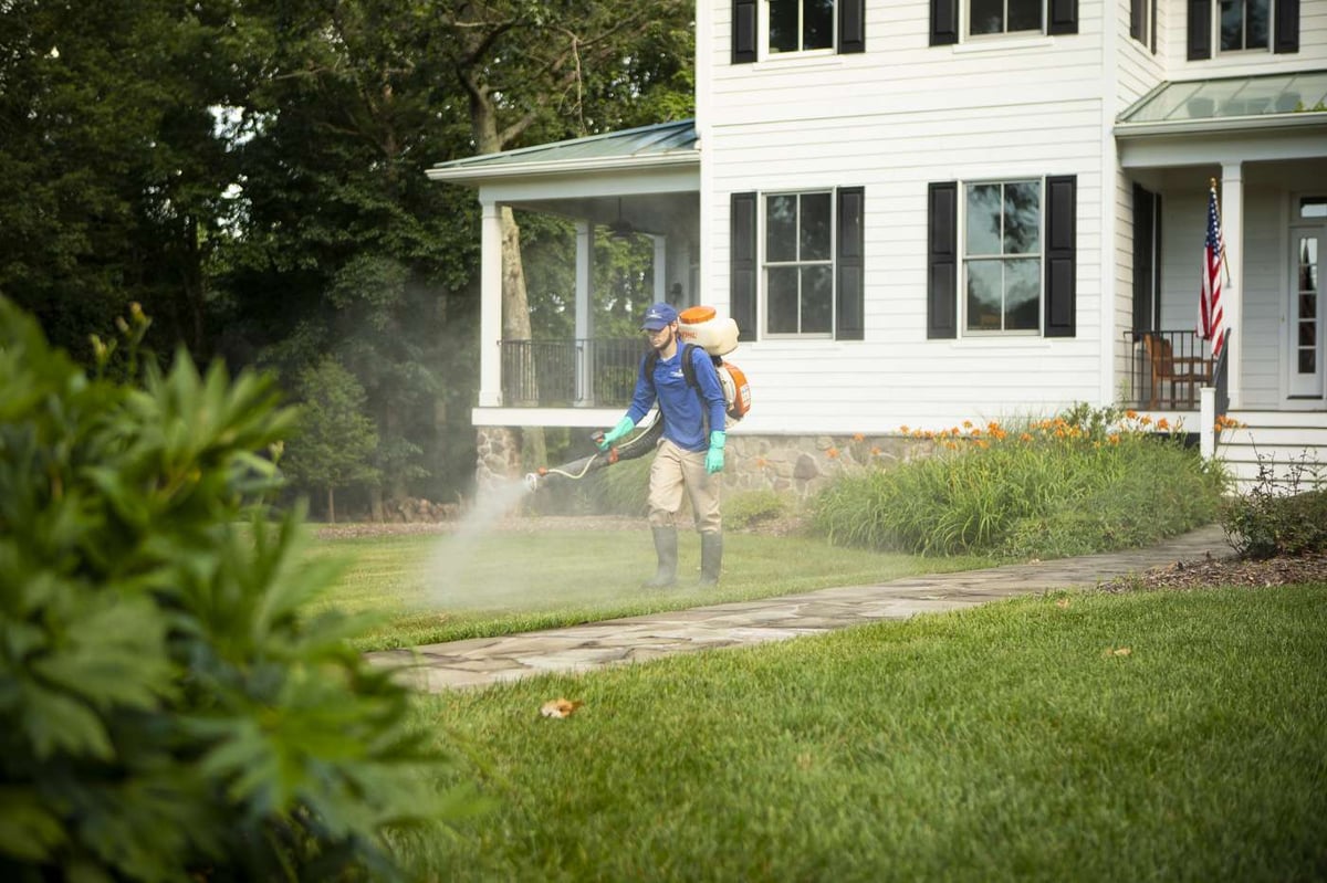 professional mosquito control spray in Northern Virginia lawn