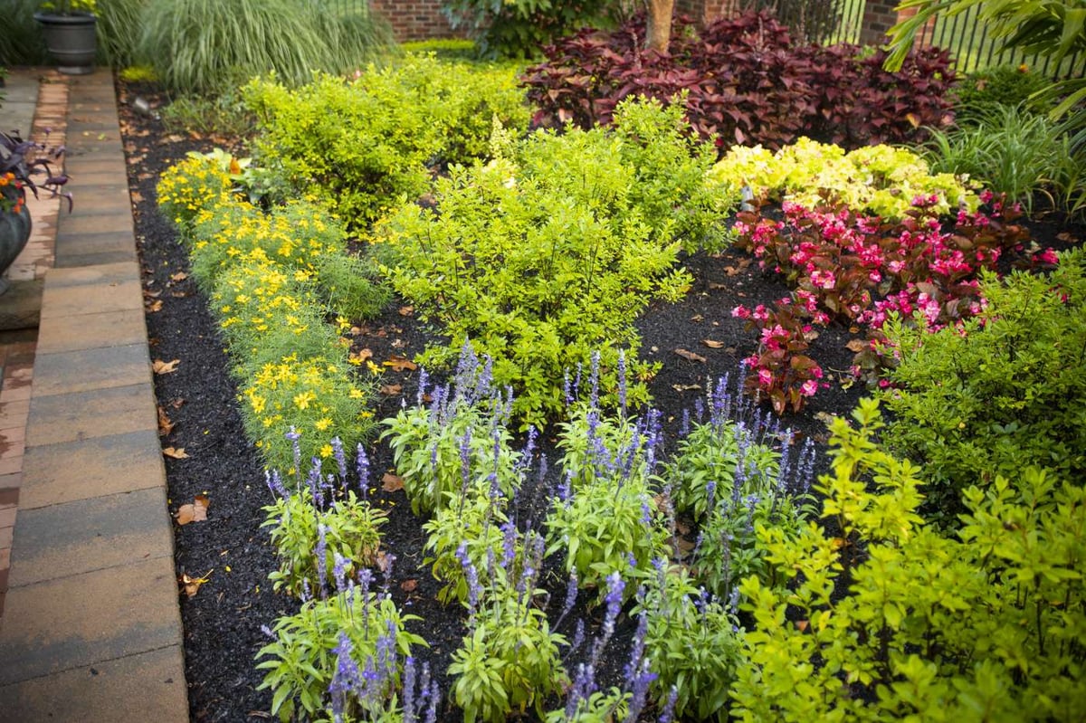 freshly mulched landscaping bed