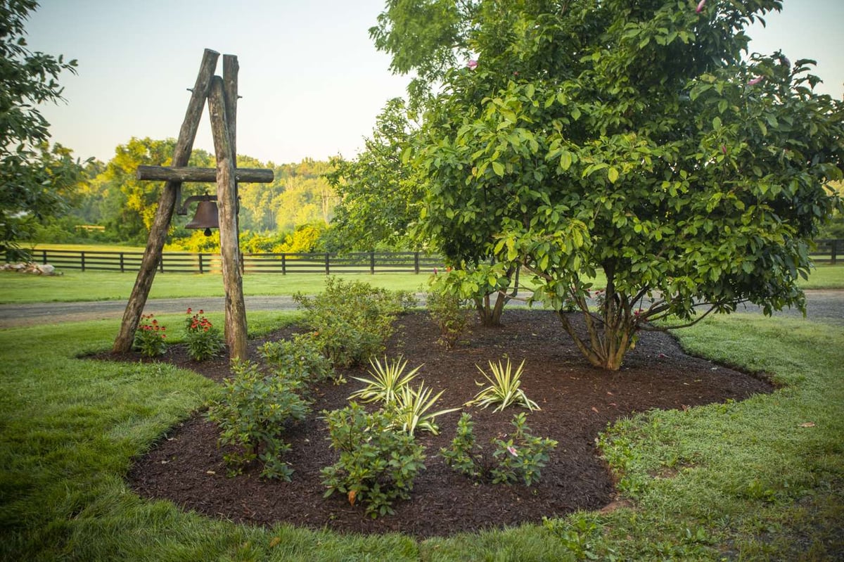 trees and plantings with fresh mulch in landscape bed