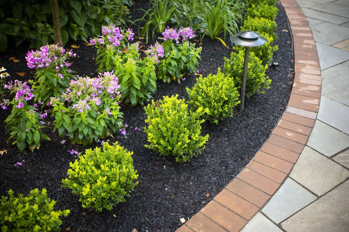 landscape lighting in landscape bed along walkway