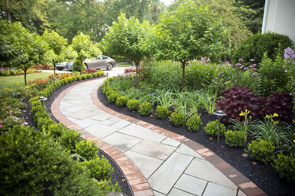 Walkway with planting, shrubs, and trees