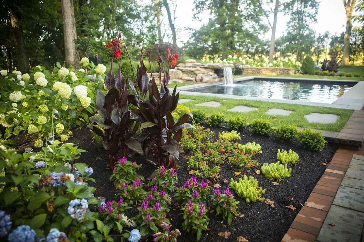 Flowers and plants in Virginia landscape