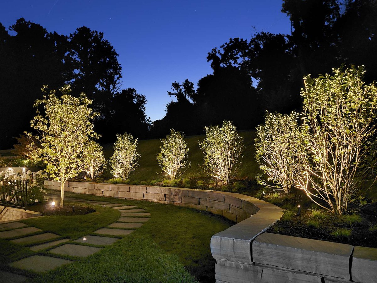 trees planted along rock wall with landscape lighting