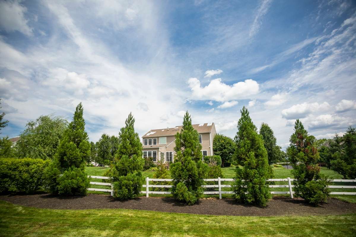 shrubs planted for privacy along fence line