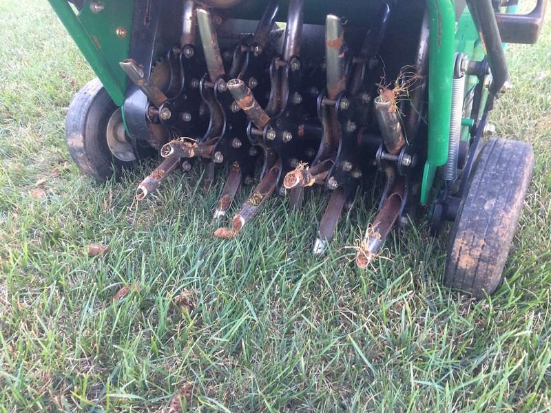 Treating Your Lawn and Watering After Aeration and Overseeding Tips for Northern Virginia