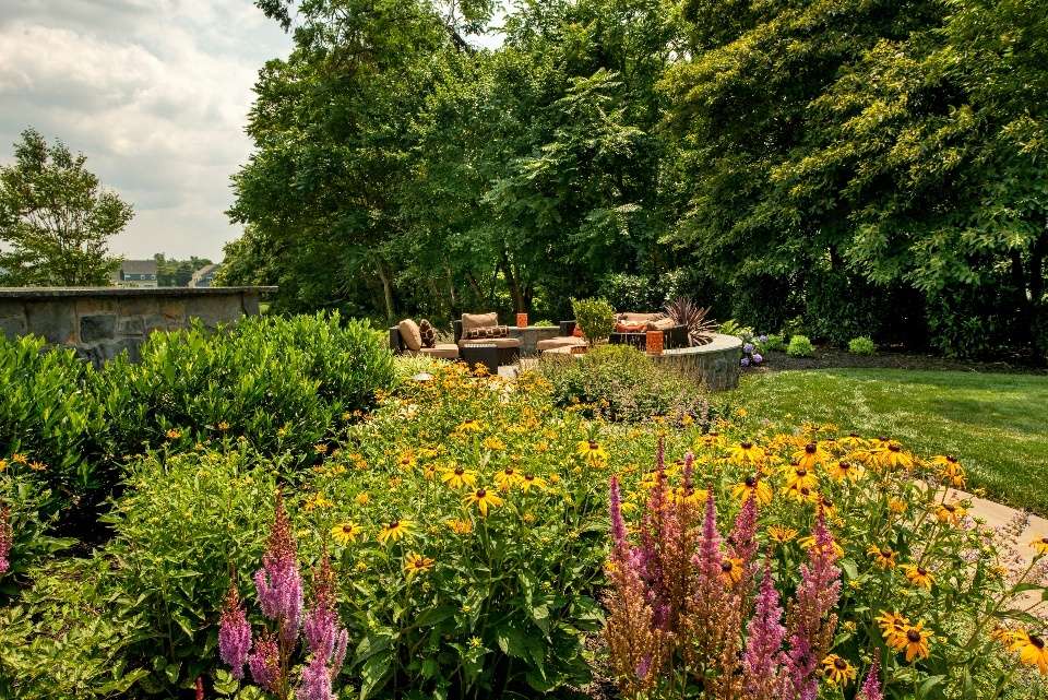 black eyed susan and perennial plantings around outdoor living space