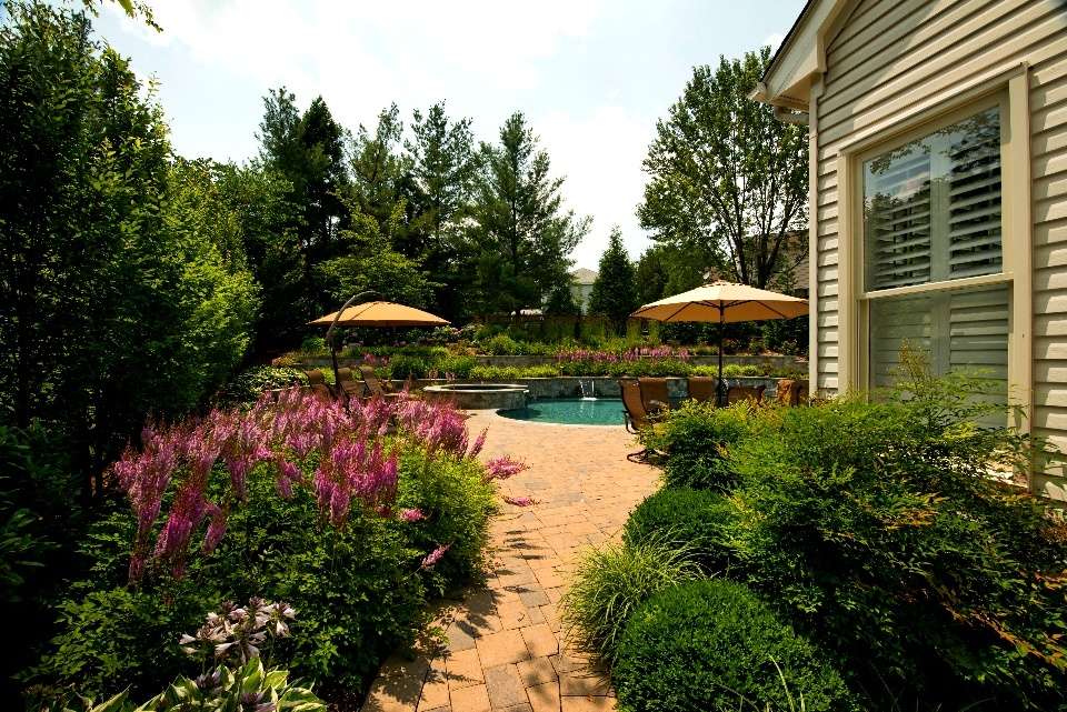 landscape-design-plantings-pool-patio-walkway