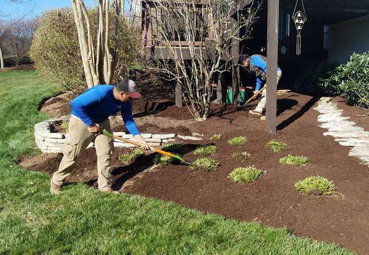 landscape maintenance technicians install mulch