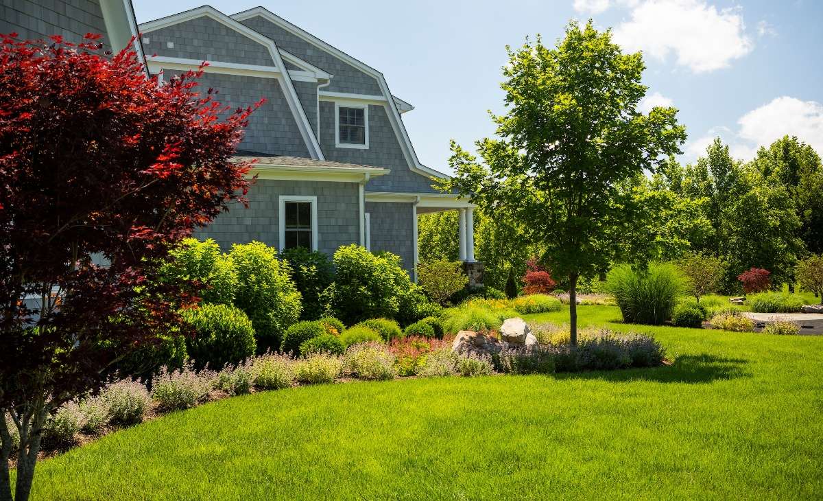 green grass and healthy trees and plantings