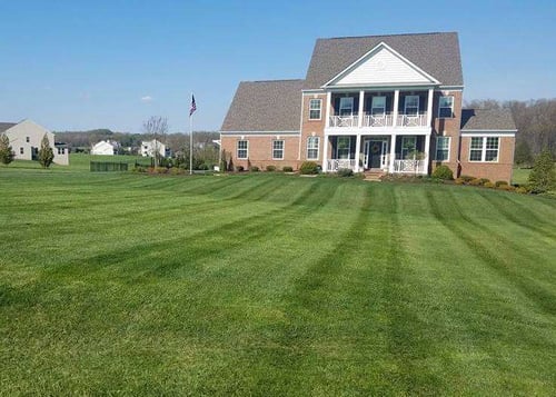 lawn with weekly mowing landscape maintenance 