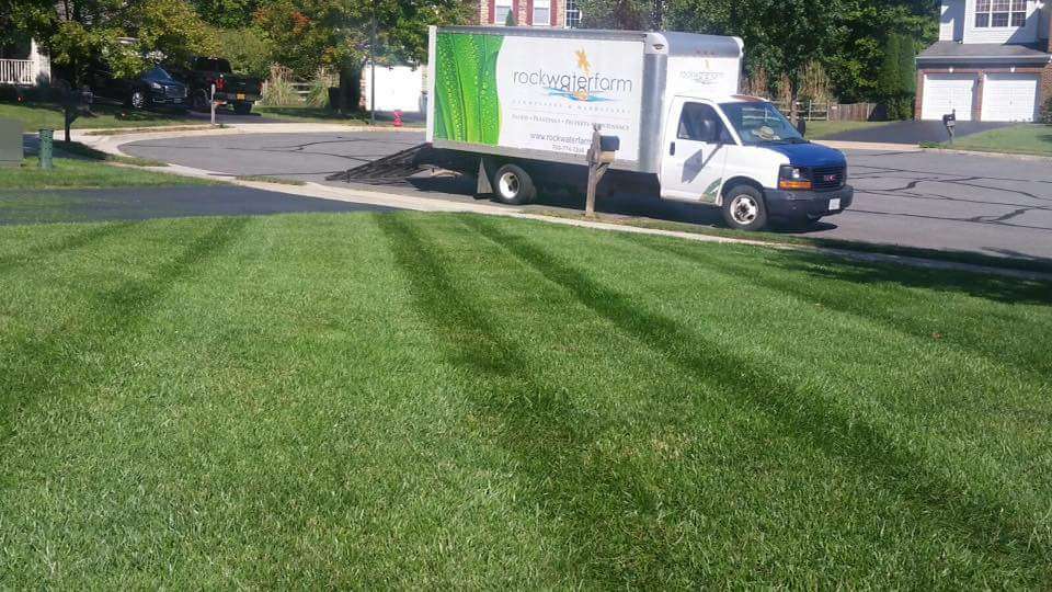 What's the Best Grass Seed for My Lawn in Northern Virginia?