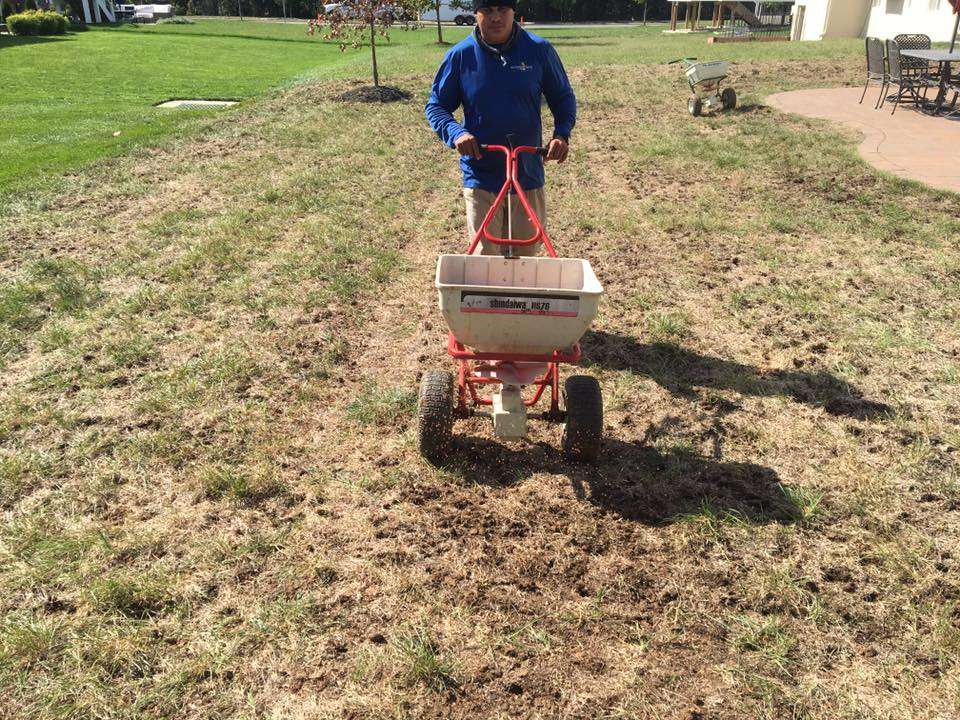 Lawn Aeration in Ashburn, VA: Do I Need One? How's it Done ...