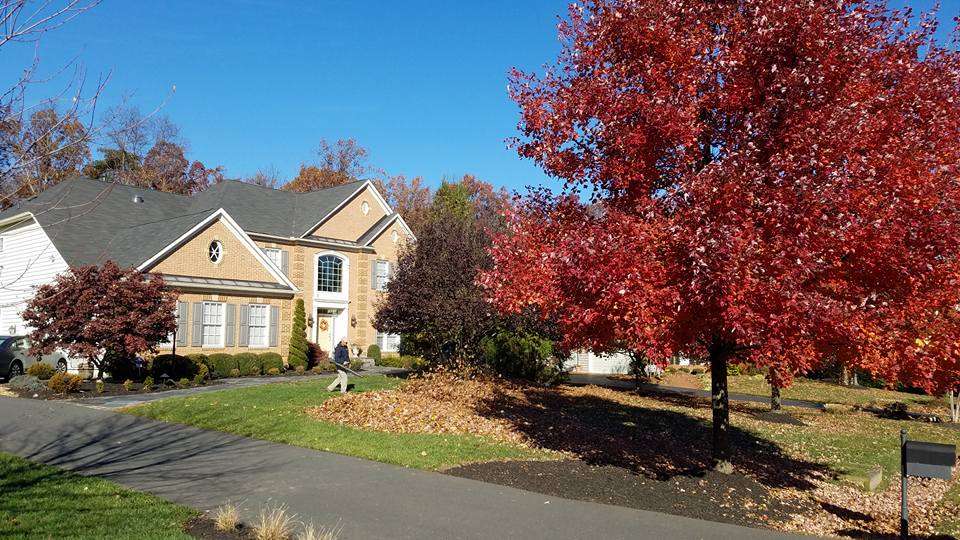 Leaf clean up in Virginia lawn