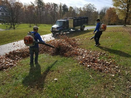 Fall leaf clean up in Virginia