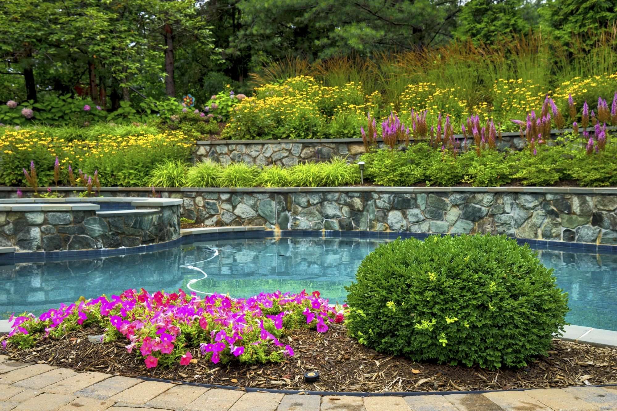 Pool landscape with blooming plants