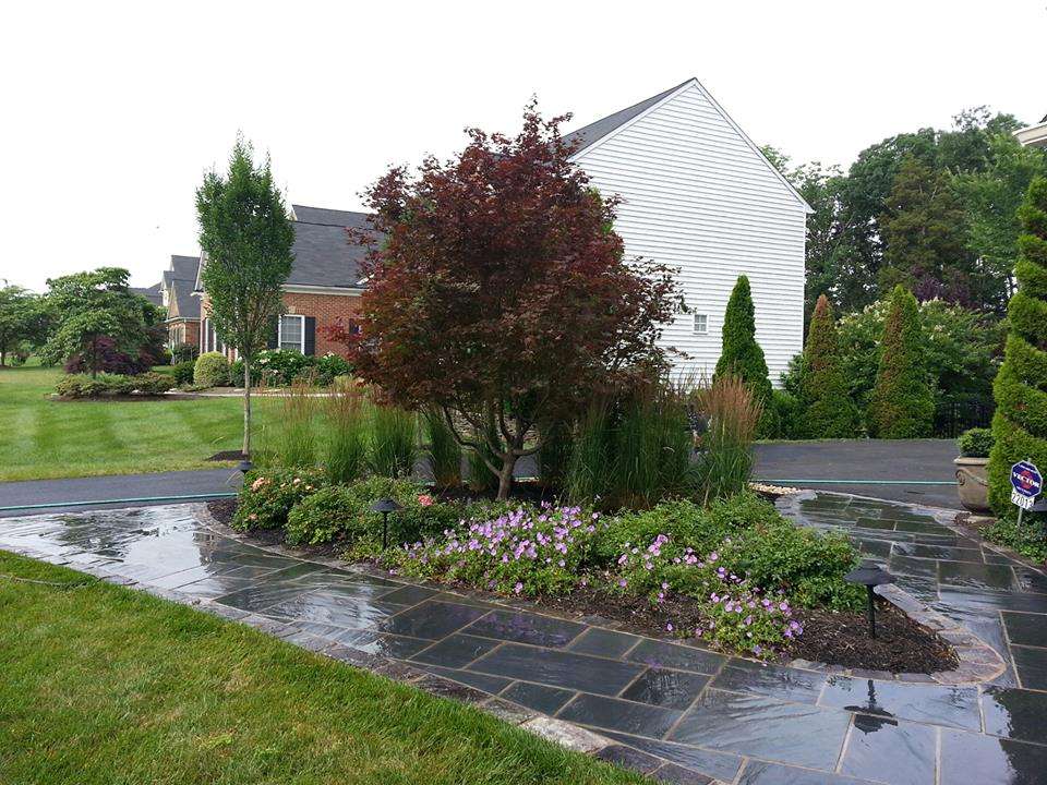 tree grasses and flowers planting in landscape bed at entrance of home