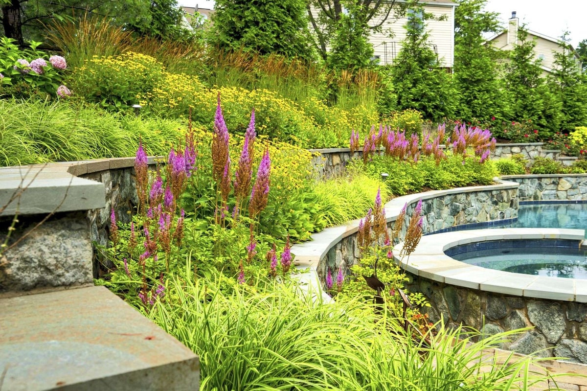 ornamental grasses in landscape beds around pool