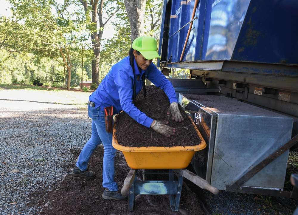 lawn maintenance crew loads wheelbarrow with mulch