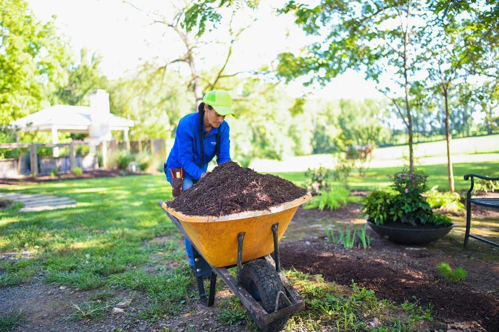 Crew applying hardwood bark mulch to a landscape
