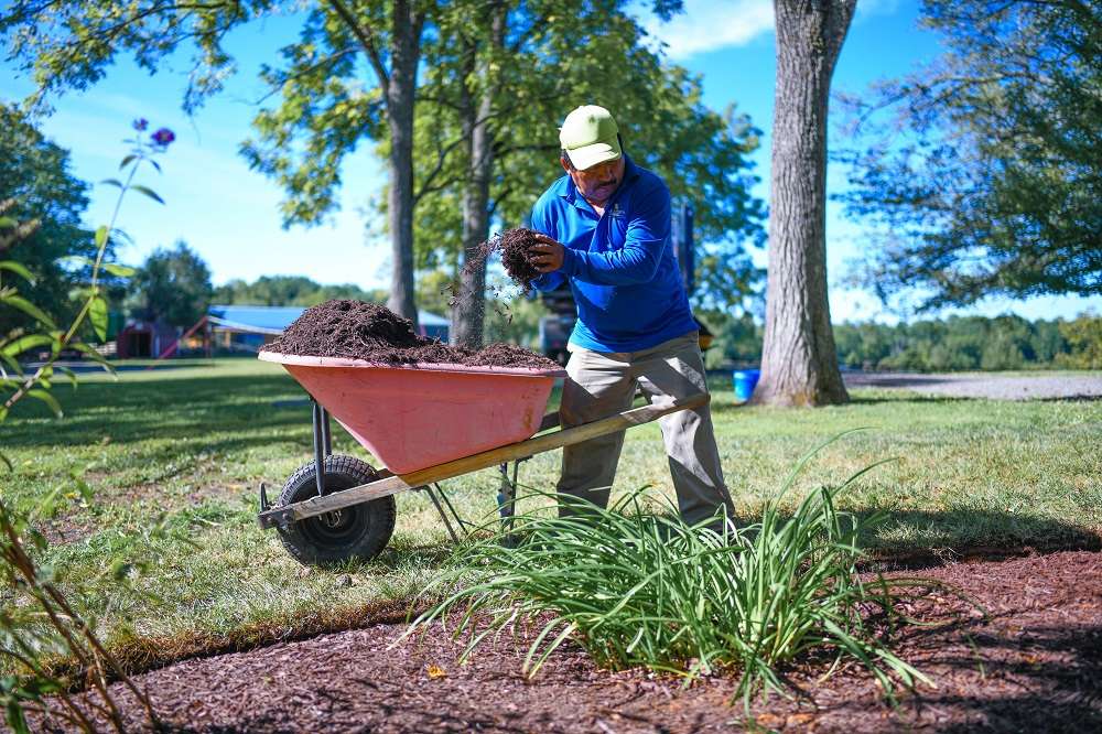 Hardscaping Alexandria Va