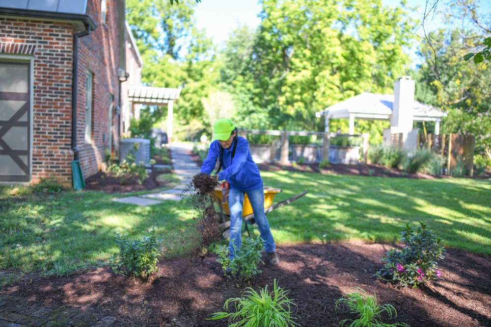 lawn maintenance crew spread mulch