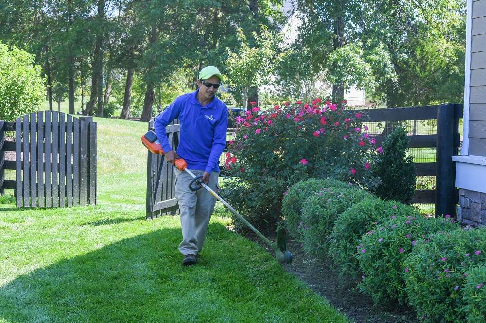 landscape maintenance technician trimming