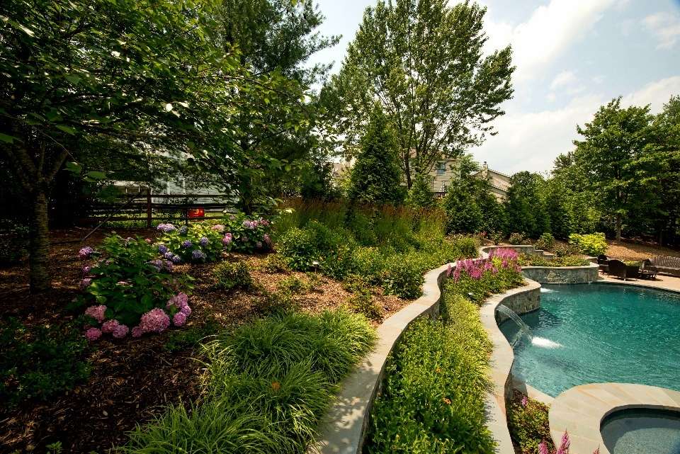 Private pool landscape