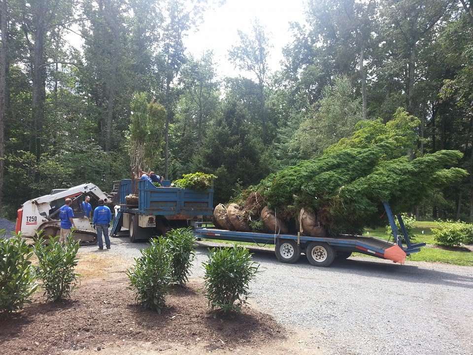 trees loaded on truck to be planted in spring or fall