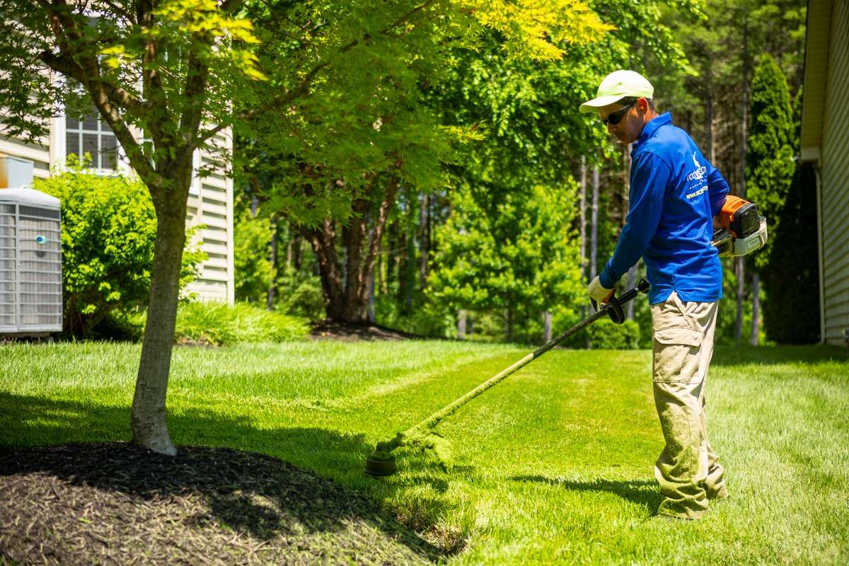 landscape maintenance team uses line  trimmer to edge tree circle