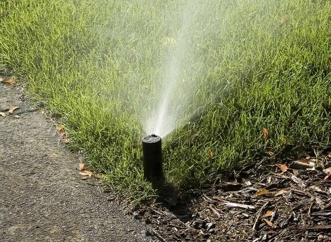 irrigation sprinkler head in lawn in Northern Virginia