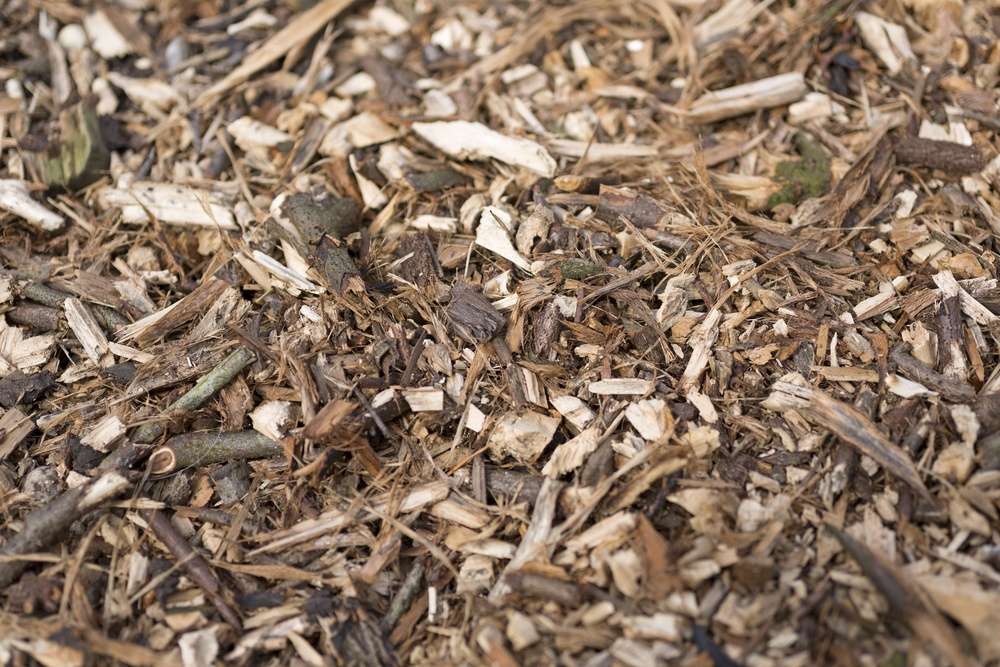 Wood chippings in a pile
