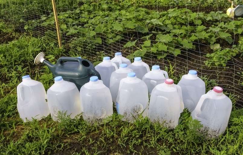 Homemade Weed Killer Concoction