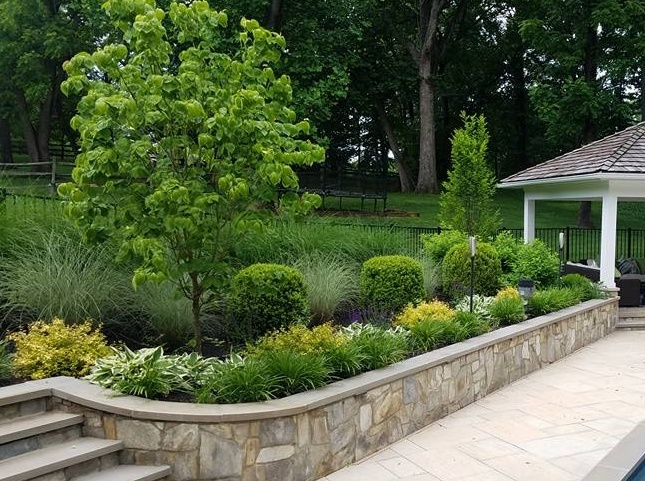 healthy plantings in raised landscape beds