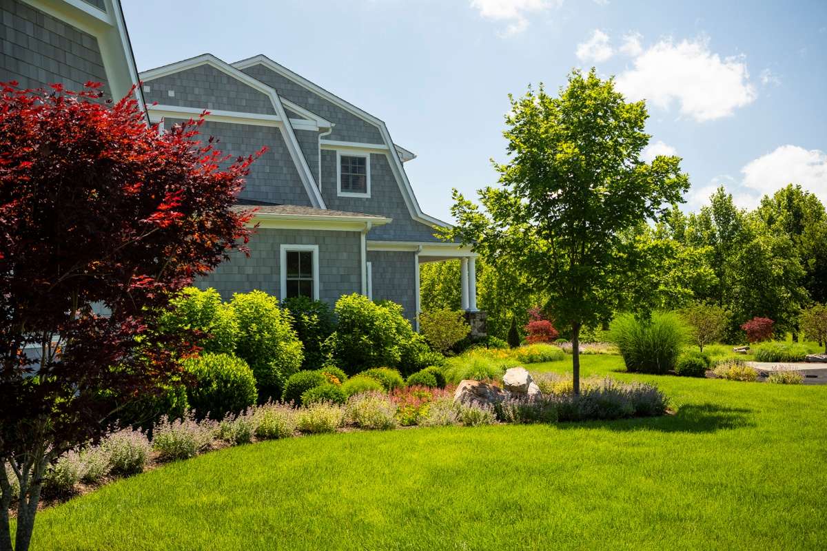 landscape in Virginia with healthy plants