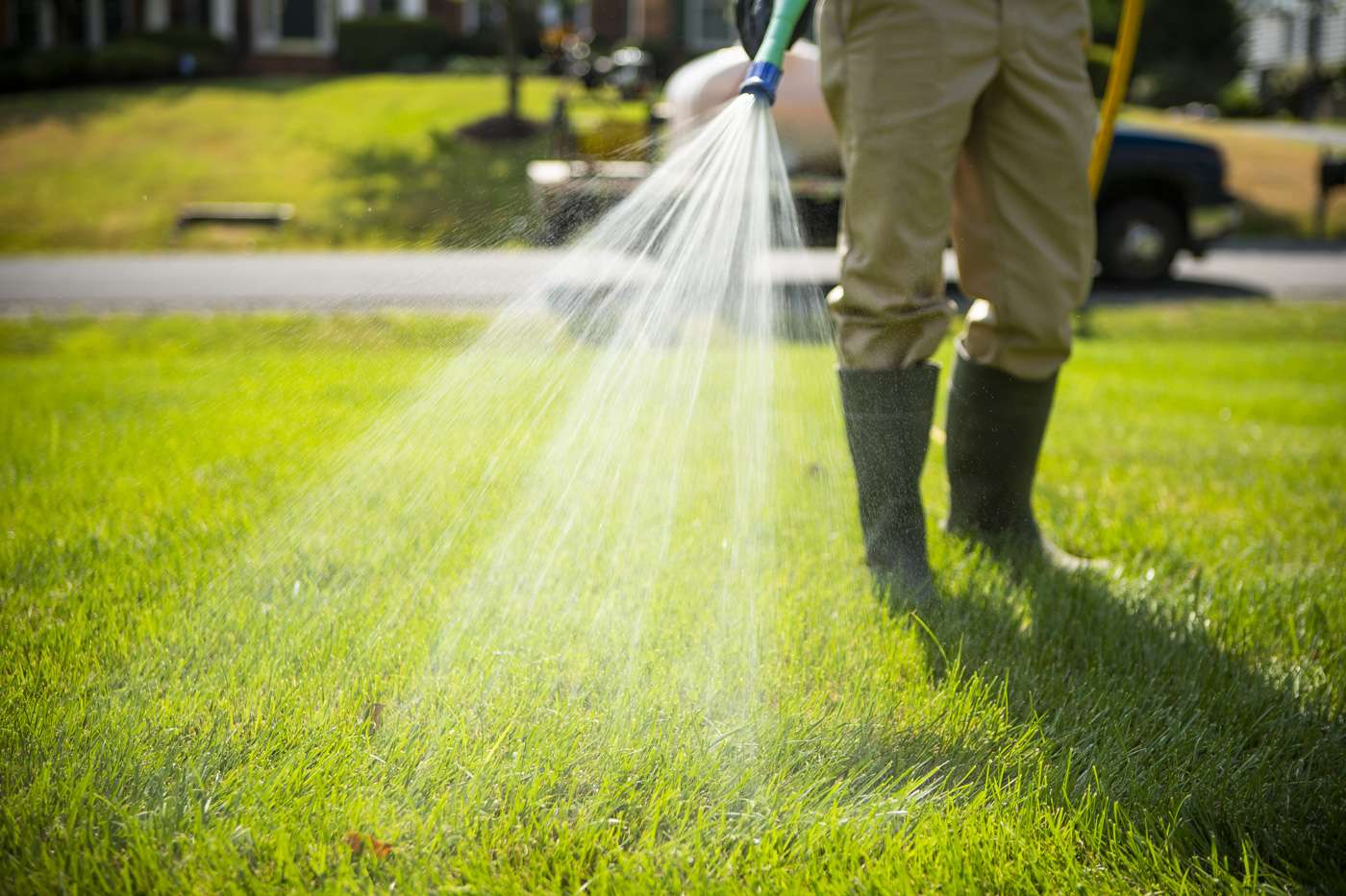 6 Lawn Problems Every Haymarket, Gainesville, or Warrenton, VA