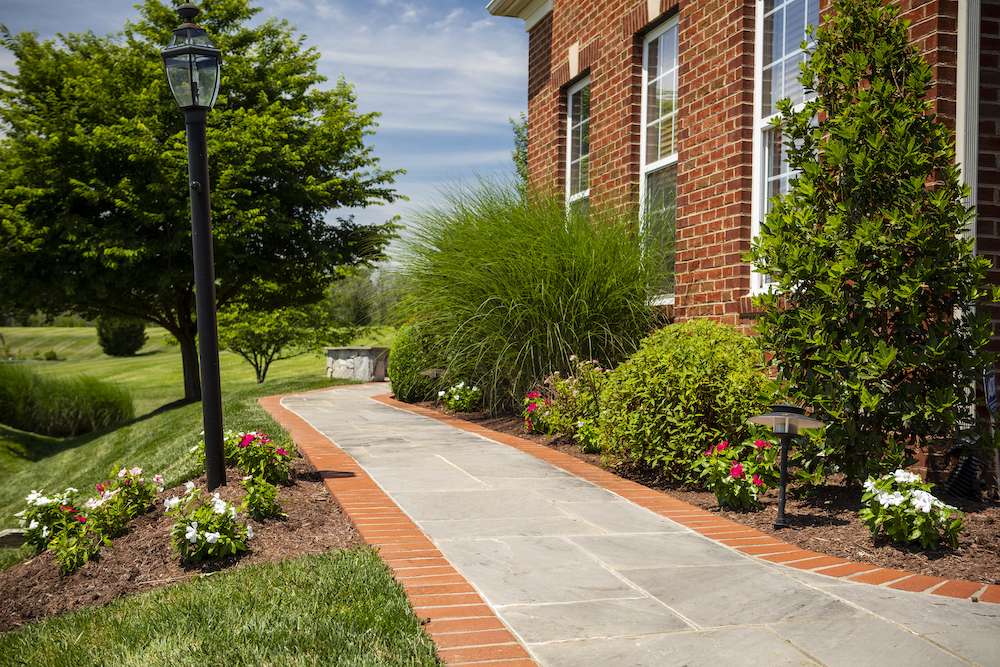 walkway with ornamental grasses