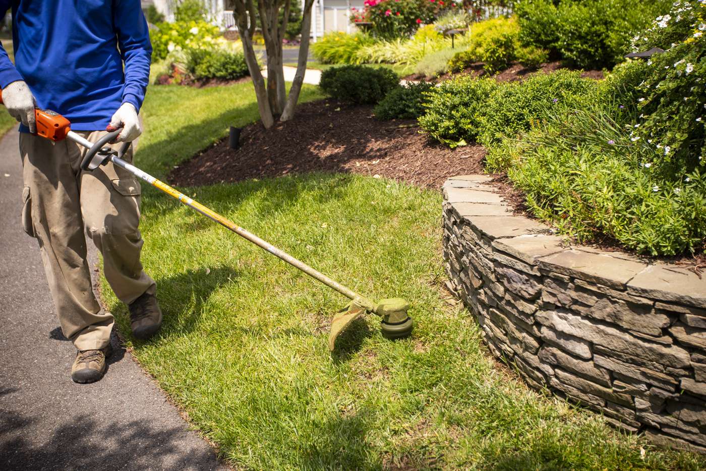 How to Compare Lawn Care Services, Prices, & Programs in South Riding, VA