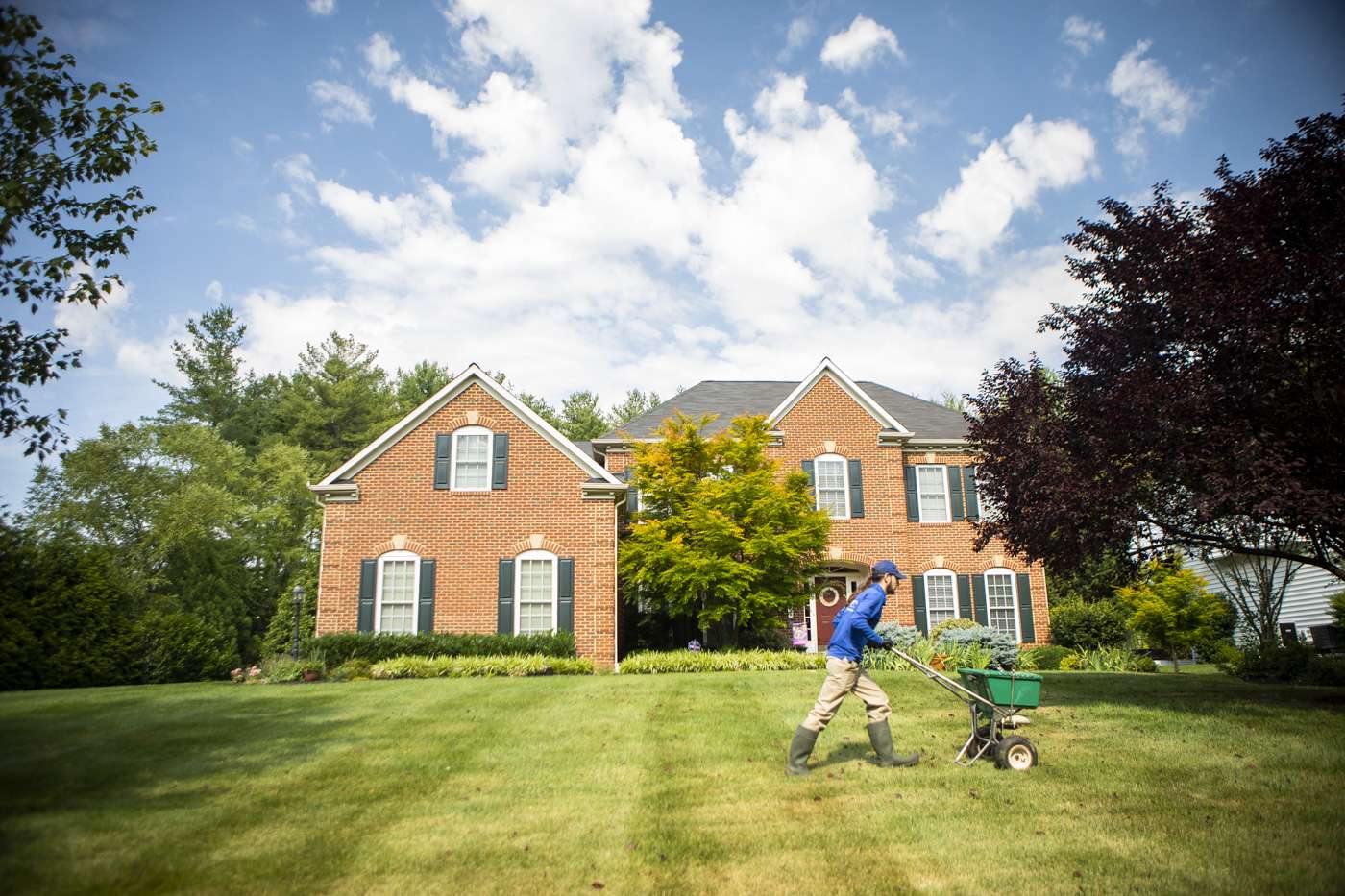 Do I Need Lime on My Lawn in Northern Virginia?