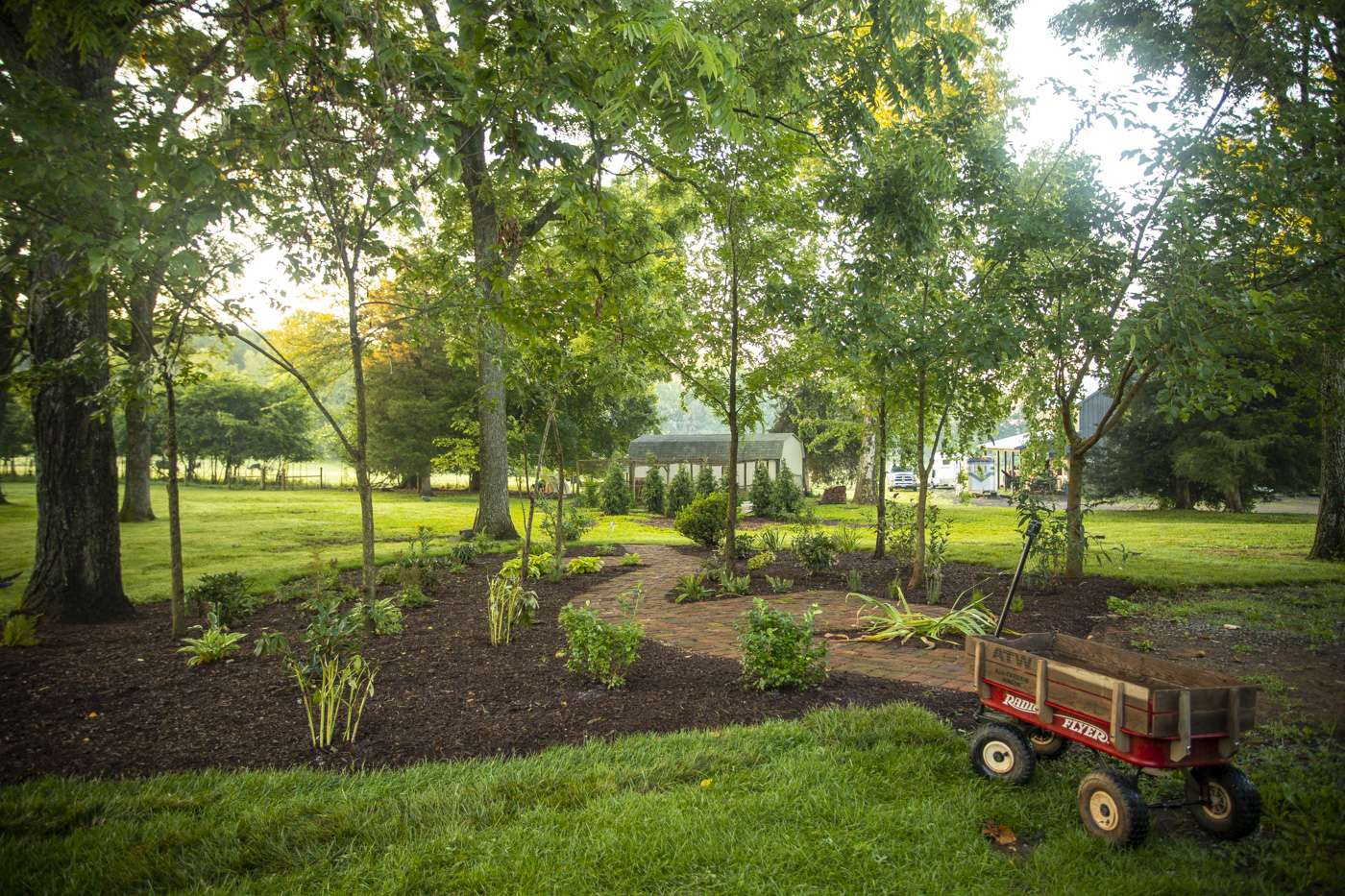 trees planted near walkway in spring