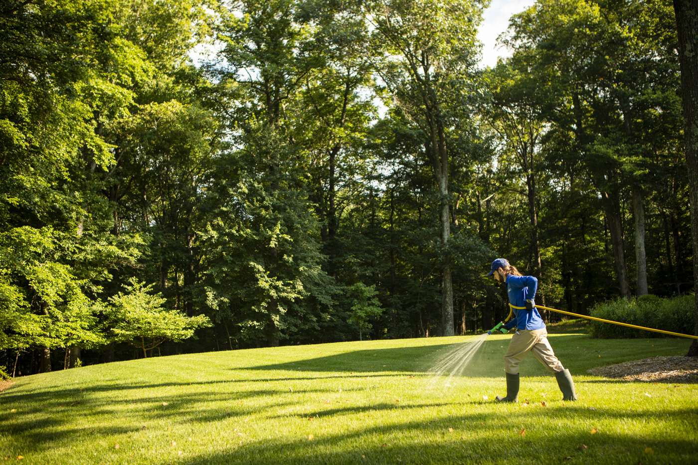 How Will the Warm Winter in Northern VA Impact Lawn Care?